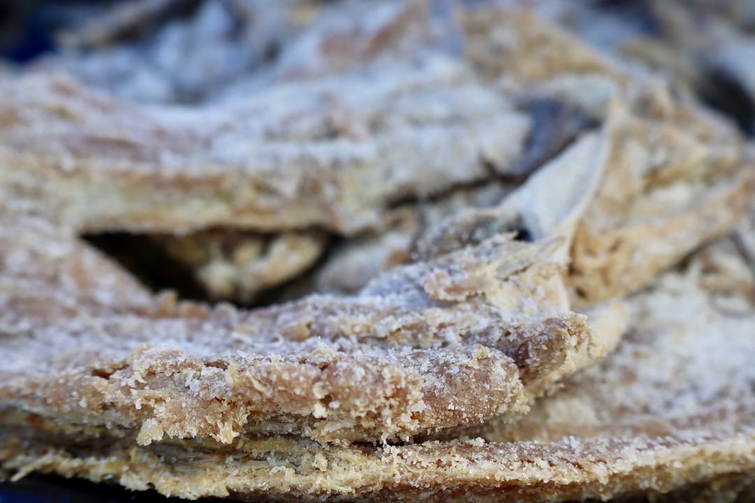 Se despliega el Plan Venezuela Come Pescado (7)